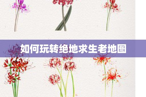 如何玩转绝地求生老地图图片