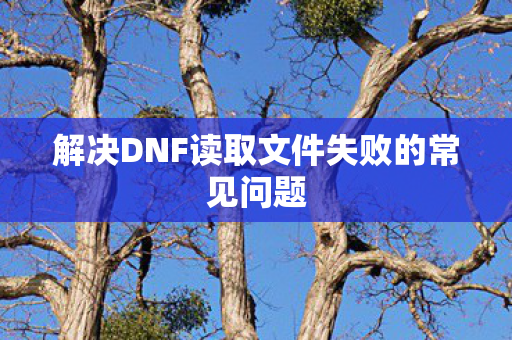解决DNF读取文件失败的常见问题图片