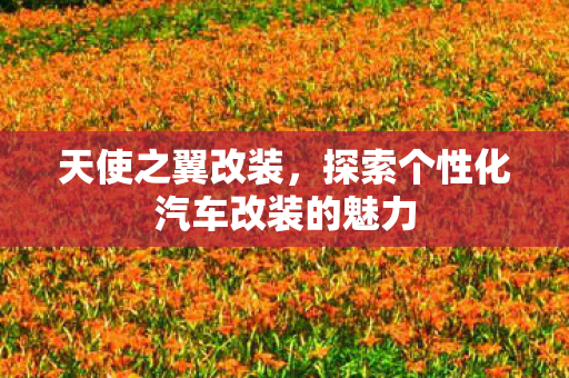 探索个性化汽车改装的魅力图片