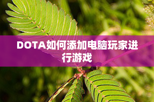 DOTA如何添加电脑玩家进行游戏图片