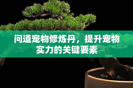 提升宠物实力的关键要素图片