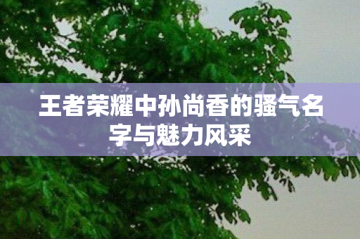 王者荣耀中孙尚香的骚气名字与魅力风采图片