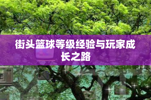 街头篮球等级经验与玩家成长之路图片