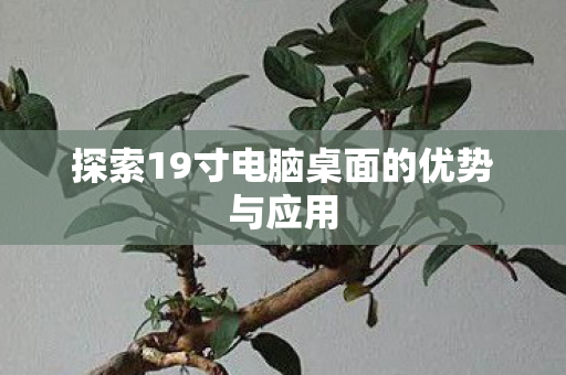 探索19寸电脑桌面的优势与应用图片