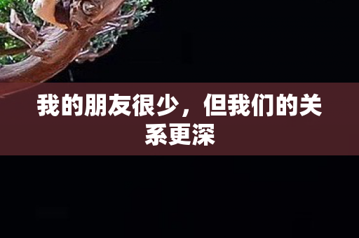 但我们的关系更深图片