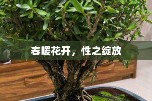 春暖花开图片