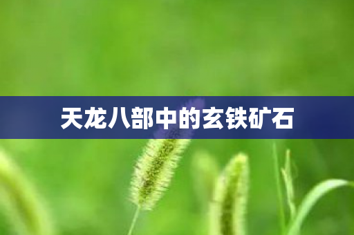 天龙八部中的玄铁矿石图片
