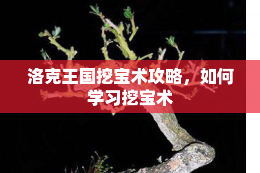 洛克王国挖宝术攻略图片