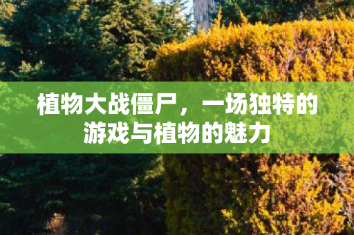 一场独特的游戏与植物的魅力图片