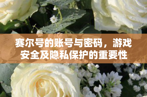 游戏安全及隐私保护的重要性图片