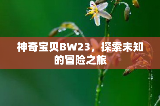 探索未知的冒险之旅图片