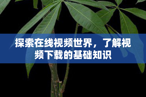 了解视频下载的基础知识图片