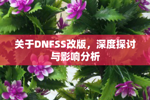 关于DNFSS改版图片