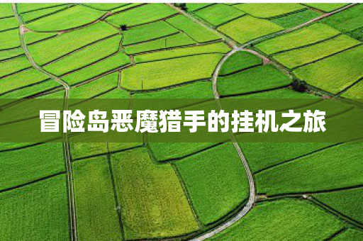 冒险岛恶魔猎手的挂机之旅图片