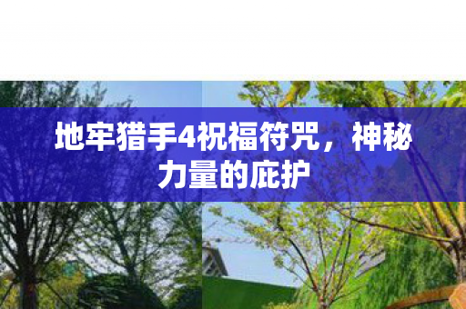 地牢猎手4祝福符咒图片