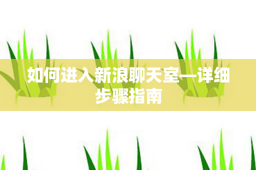如何进入新浪聊天室图片