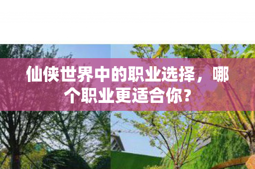 仙侠世界中的职业选择图片