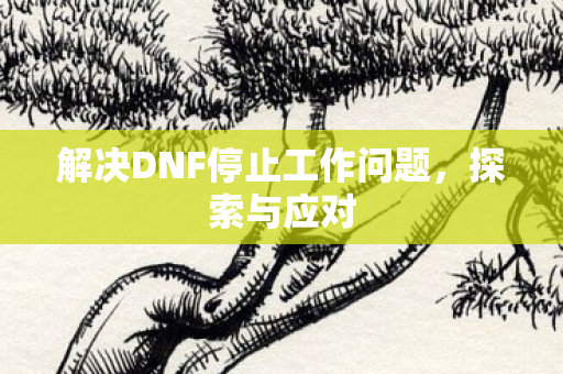 解决DNF停止工作问题图片