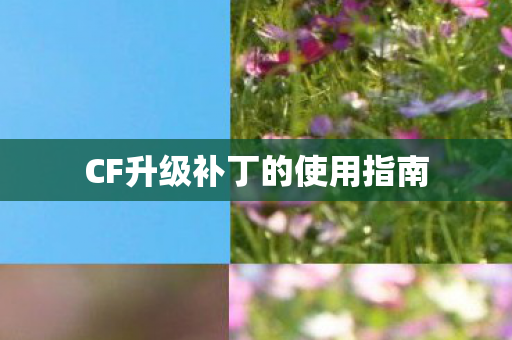 CF升级补丁的使用指南图片
