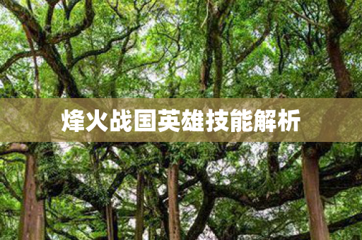 烽火战国英雄技能解析图片