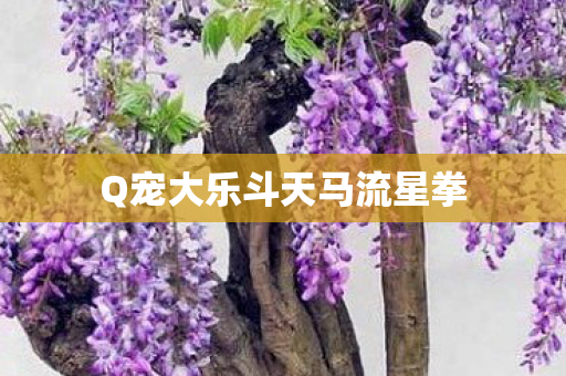 Q宠大乐斗天马流星拳图片