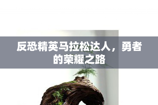 反恐精英马拉松达人图片