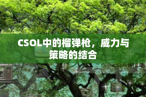 CSOL中的榴弹枪图片