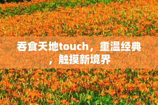 吞食天地touch图片
