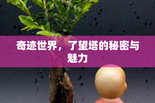 了望塔的秘密与魅力图片
