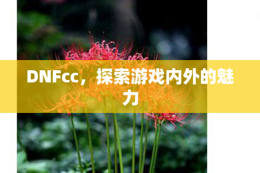 探索游戏内外的魅力图片