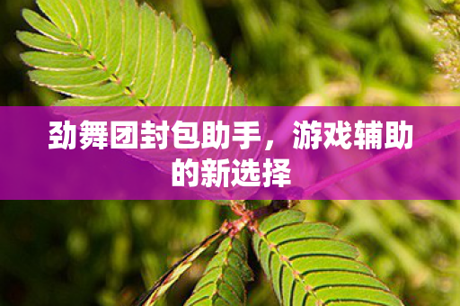 游戏辅助的新选择图片
