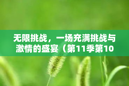 第11季第10集第8次挑战图片