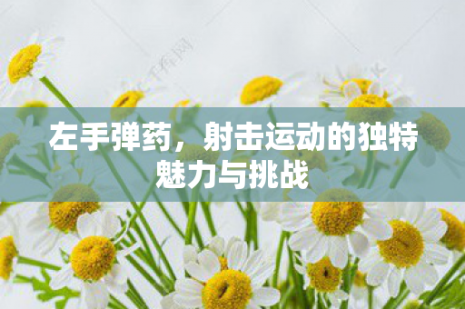 射击运动的独特魅力与挑战图片