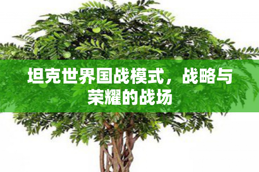 坦克世界国战模式图片