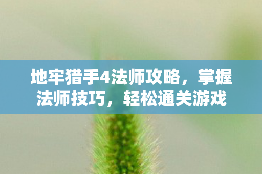 地牢猎手4法师攻略图片