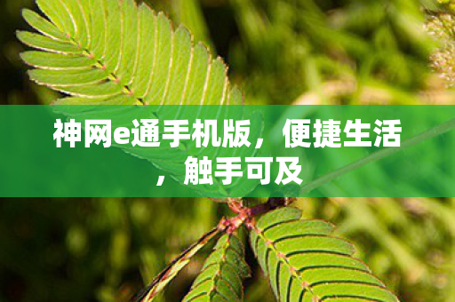 神网e通手机版图片