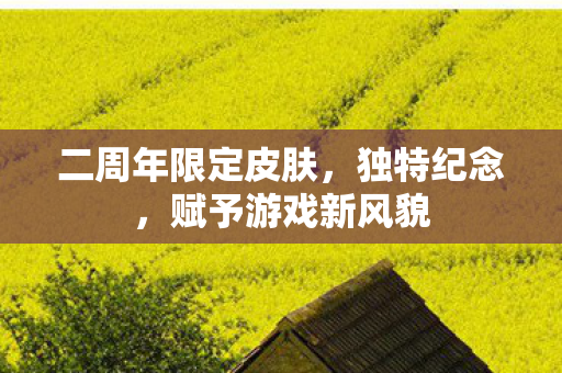 二周年限定皮肤图片