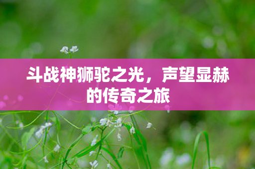 声望显赫的传奇之旅图片