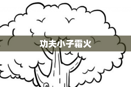 功夫小子霜火图片