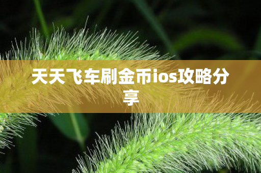 天天飞车刷金币ios攻略分享图片