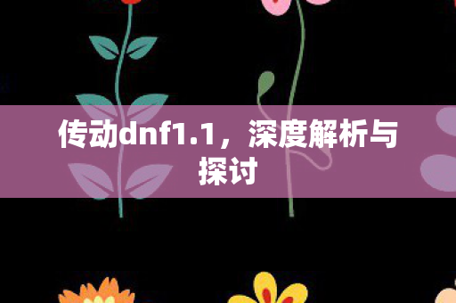 深度解析与探讨图片