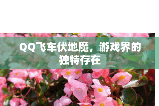 游戏界的独特存在图片