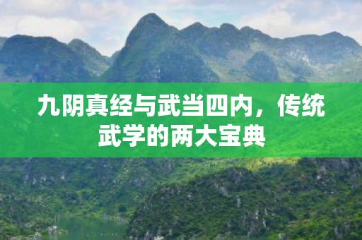 九阴真经与武当四内图片