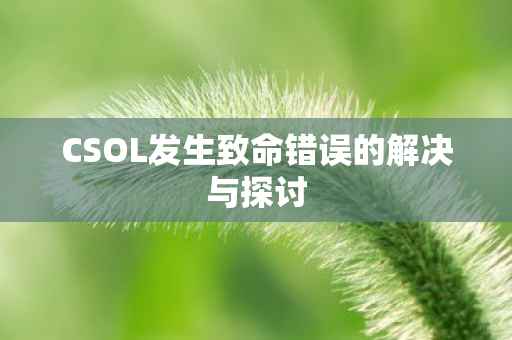 CSOL发生致命错误的解决与探讨图片