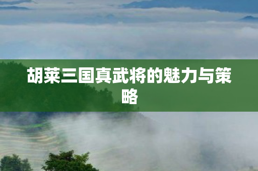 胡莱三国真武将的魅力与策略图片
