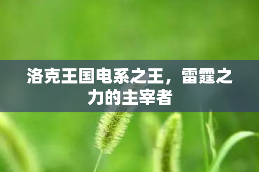 洛克王国电系之王图片