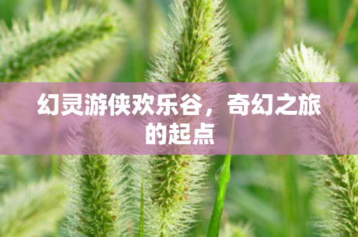幻灵游侠欢乐谷图片