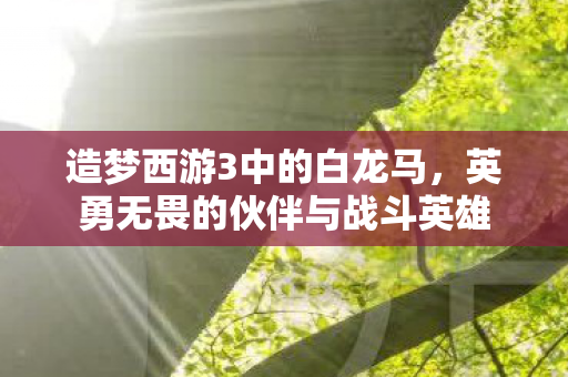 英勇无畏的伙伴与战斗英雄图片