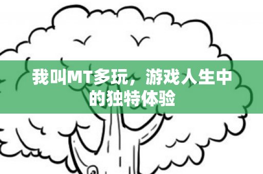 游戏人生中的独特体验图片
