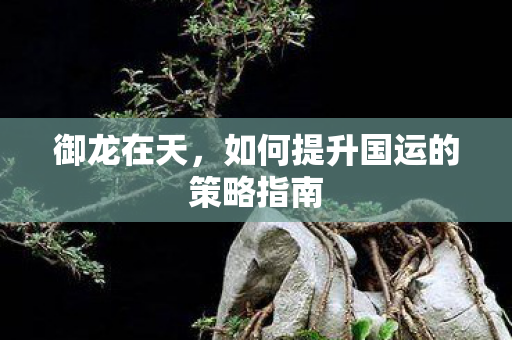 如何提升国运的策略指南图片
